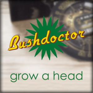 Bush Doctor logo