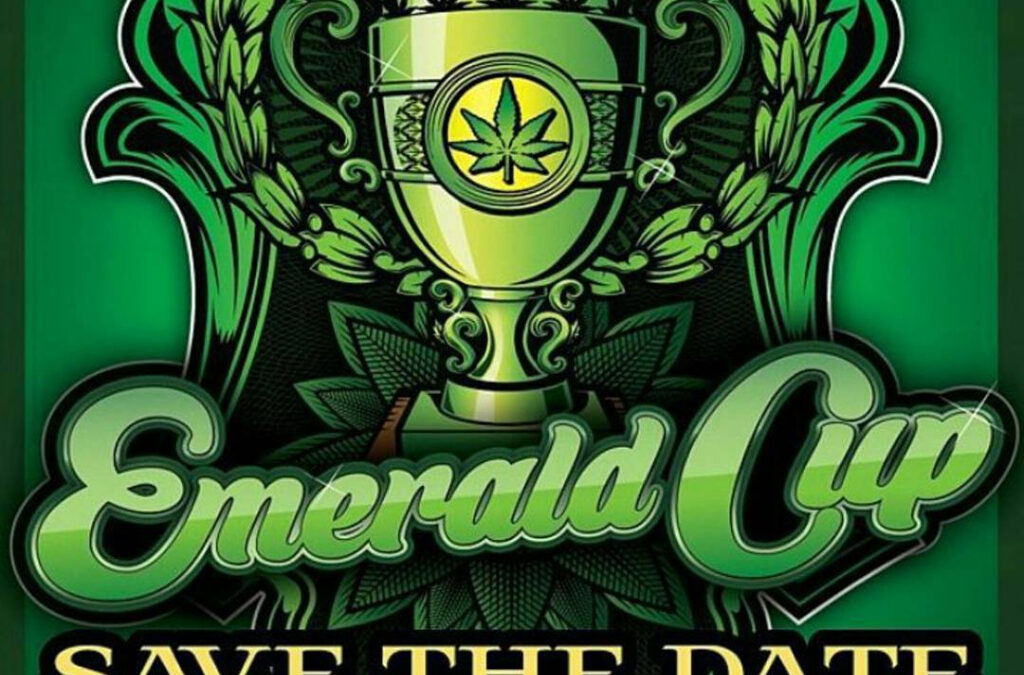 2015 Emerald Cup Wrap Up