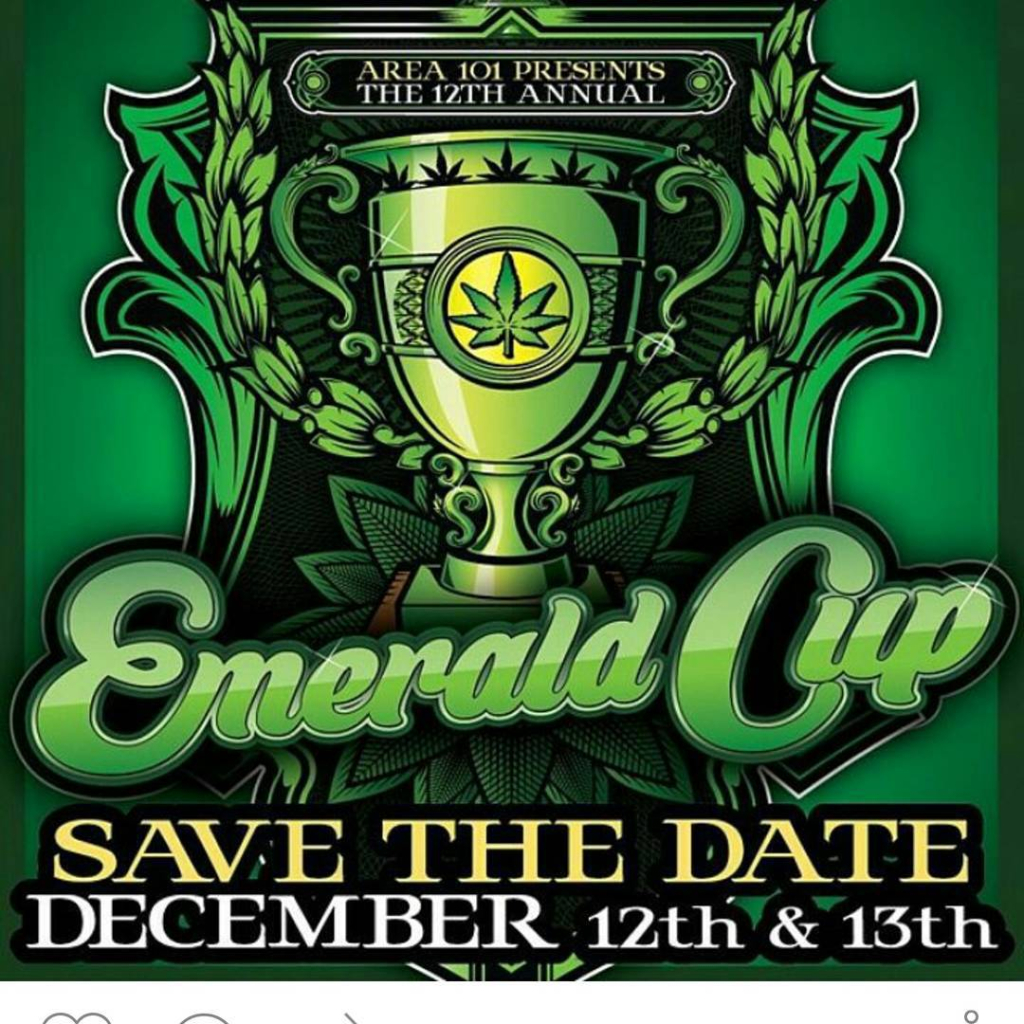 2015 Emerald Cup