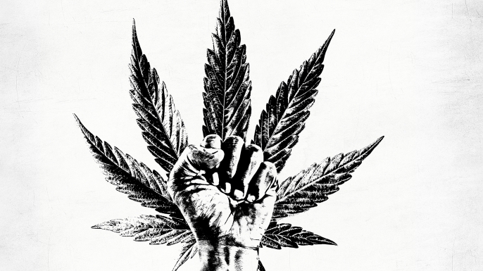 History Channel's The Marijuana Revolution documentary