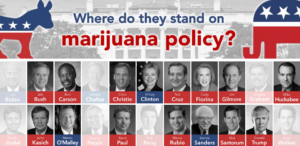 MPP.org Where Do They Stand - 2016 Presidential candidates and marijuana policy