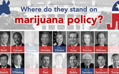 Where Do The 2016 Presidential Candidates Stand On Marijuana Policy?