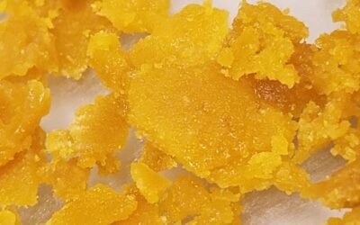 Which Extraction method is Likely to Dominate the Cannabis Industry?