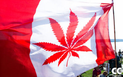 Canada is Expected to Change its Cannabis Regulations in 2019