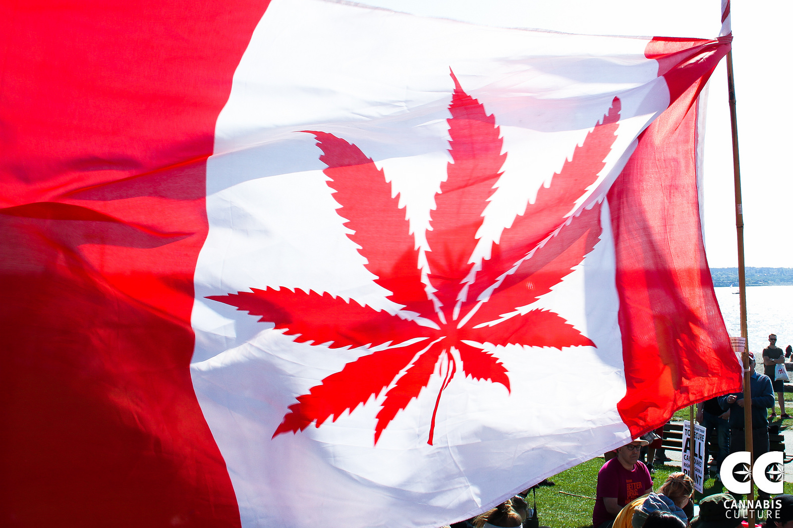 Canadian legalization.