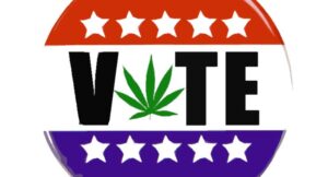 voter initiatives in cannabis