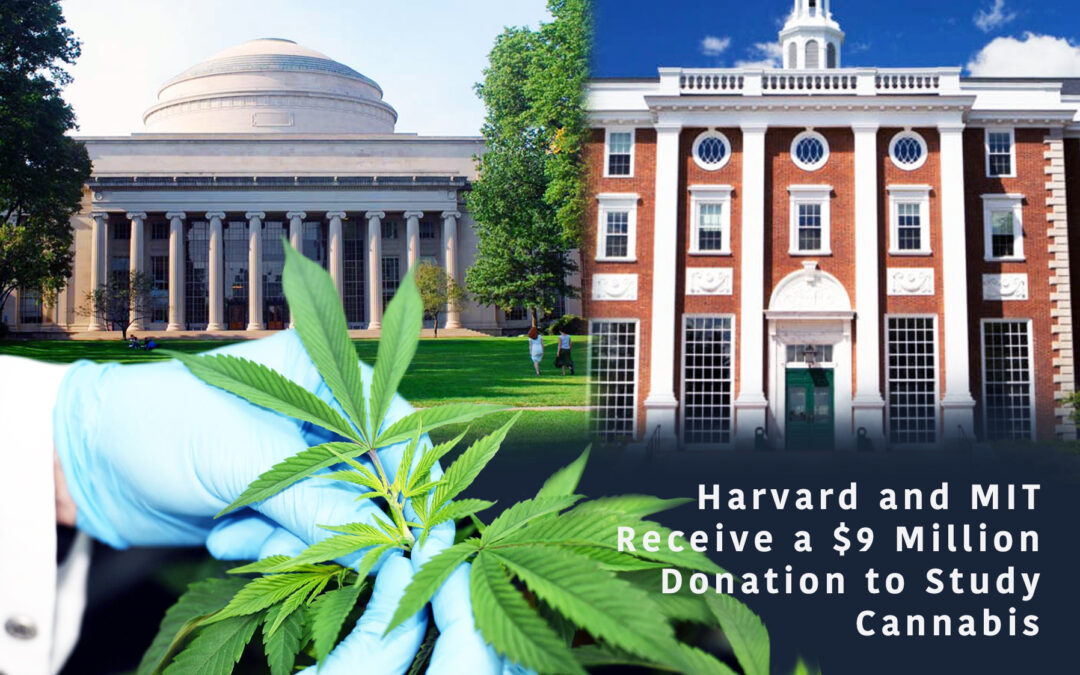 Harvard and MIT Receive $9 Million Donation to Study Cannabis