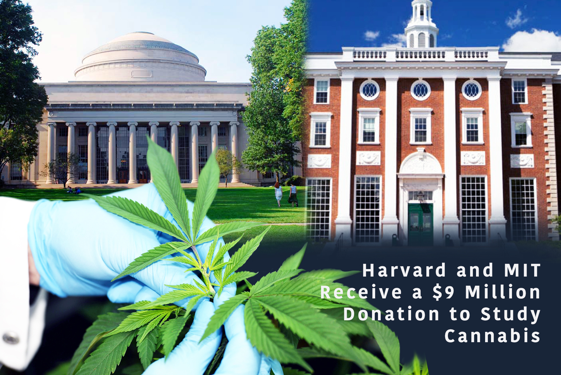 Harvard & MIT donation