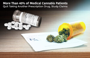Opioids and medical cannabis