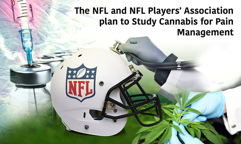 The NFL and NFL Players’ Association Will Study Cannabis for Pain Management