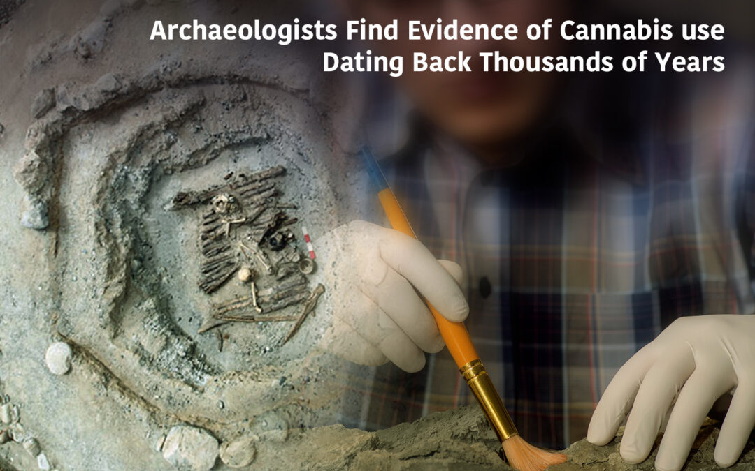 Archaeologists Find Evidence of Cannabis use Dating Back Millennia