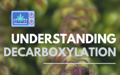 Understanding Decarboxylation in Cannabis Extraction