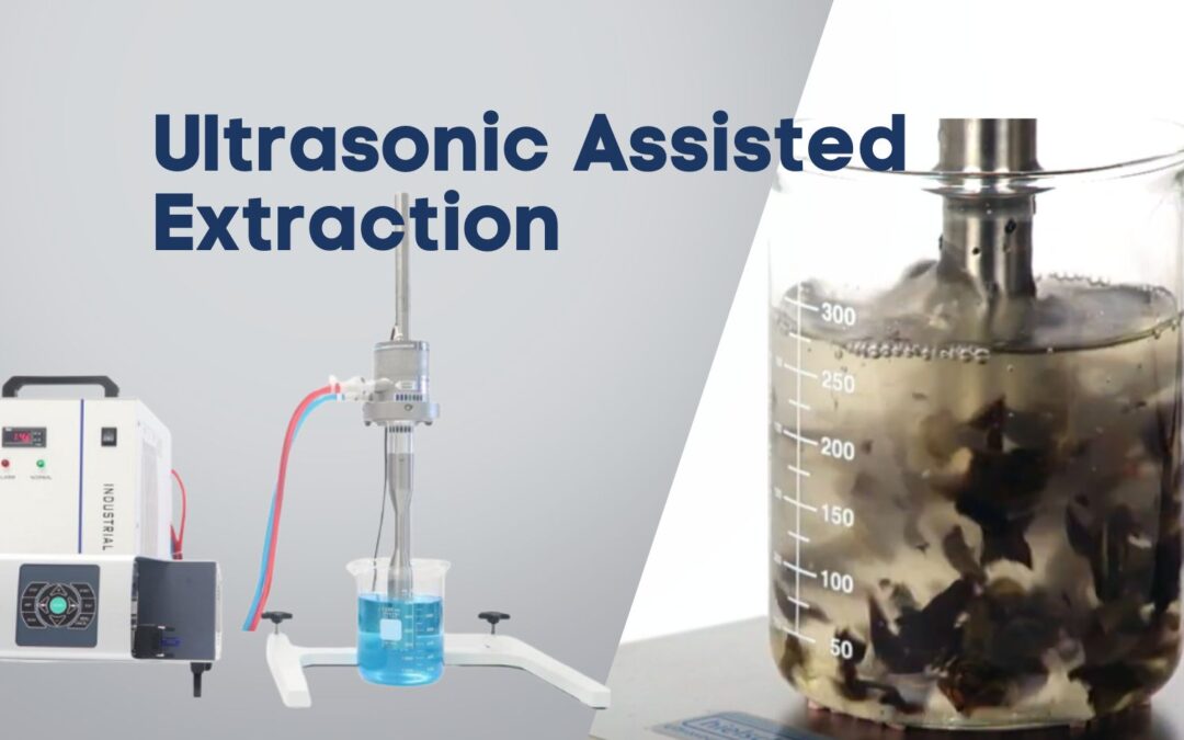 Ultrasonic Assisted Extraction in Mushroom and Cannabis Processing